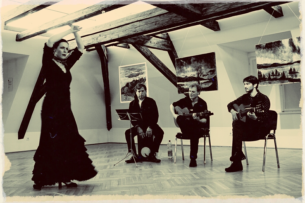 art bv Berchtoldvilla - Flamenco-Abend Februar - Seguiriyas